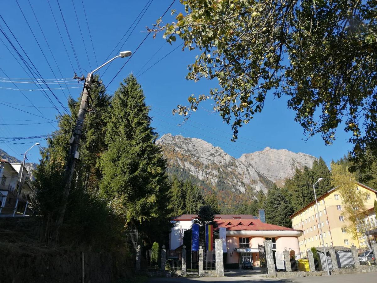 Hostel Cppi Vest Buşteni 外观 照片